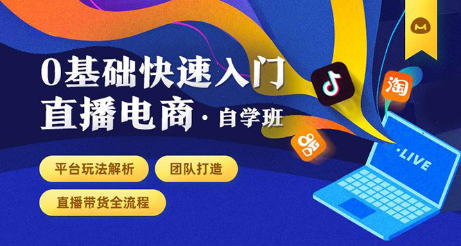 0基础快速入门直播电商课程：直播平台玩法解析-团队打造-带货全流程等环节-大兵轻创资源库