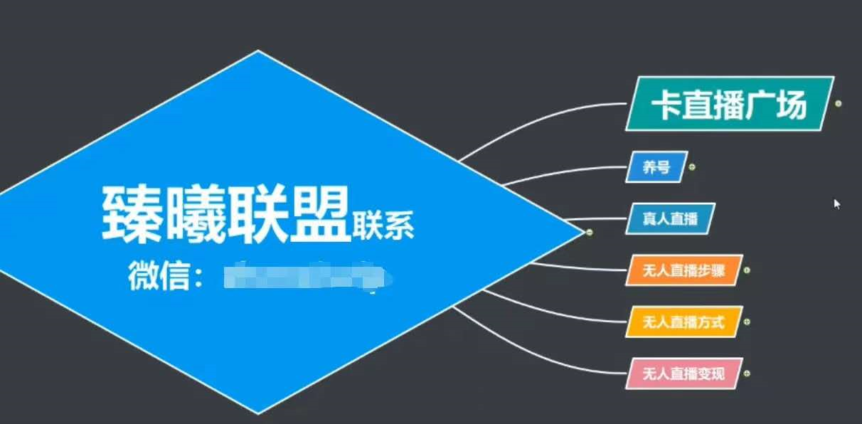 臻曦联盟，最新无人直播万人在线技术理原及详细操作步骤解析（视频教程）-大兵轻创资源库