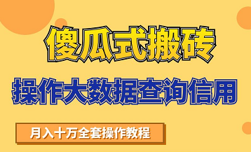 搬砖操作大数据查询信用项目赚钱教程，祝你快速月入6万-大兵轻创资源库
