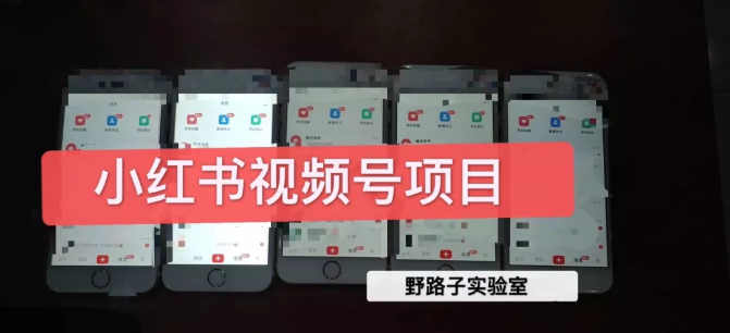 野路子小红书视频号1.0项目，直接上手操作就能赚钱的视频号项目-大兵轻创资源库