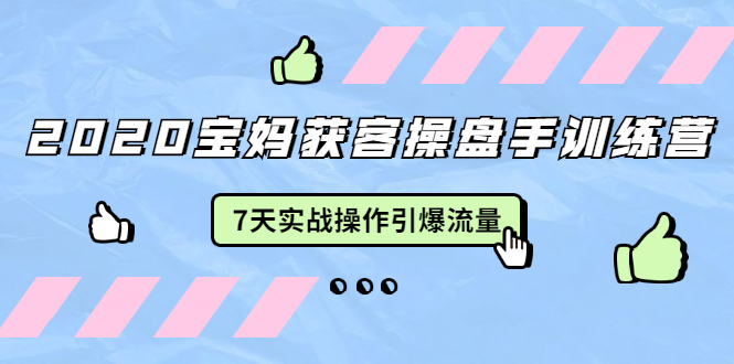 2020宝妈获客操盘手训练营：7天实战操作引爆 母婴、都市、购物宝妈流量-大兵轻创资源库