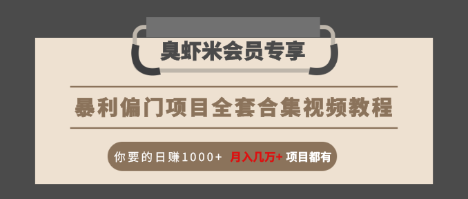 暴利偏门项目全套合集视频教程：你要的日赚1000+月入几万+项目都有-大兵轻创资源库