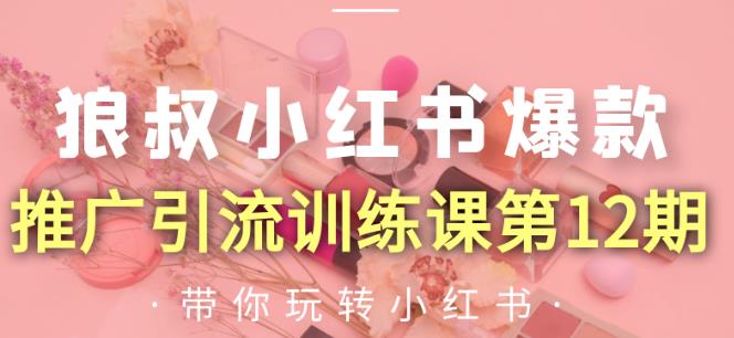 狼叔小红书爆款推广引流训练课第12期，手把手带你玩转小红书-大兵轻创资源库