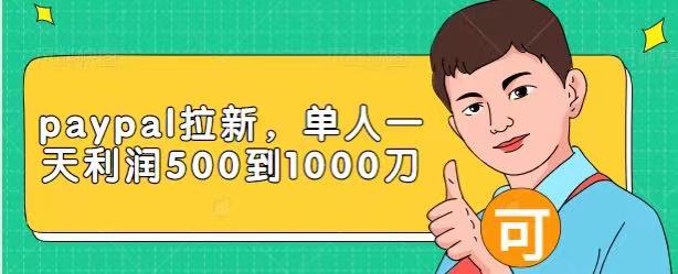 Paypal拉新赚美刀项目，单人一天利润500-1000刀【视频课程】-大兵轻创资源库
