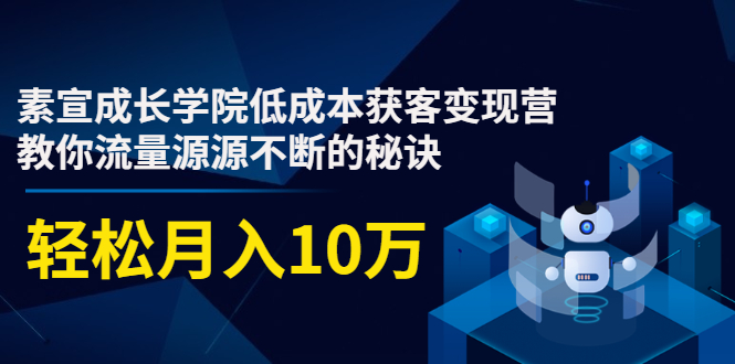 素宣成长学院低成本获客变现营，教你流量源源不断的秘诀，轻松月入10万-大兵轻创资源库