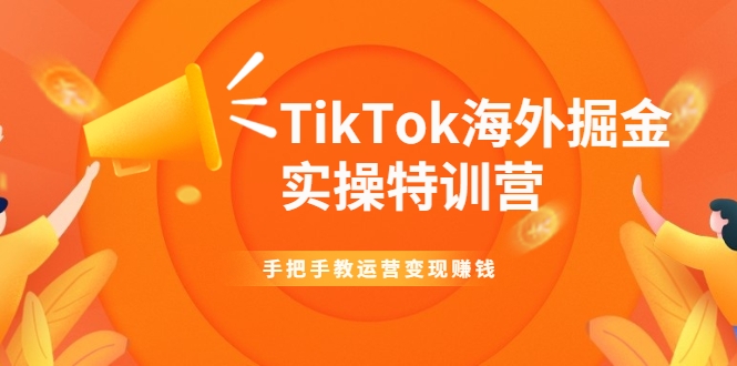 TikTok海外掘金实操特训营：手把手教运营变现赚钱-大兵轻创资源库