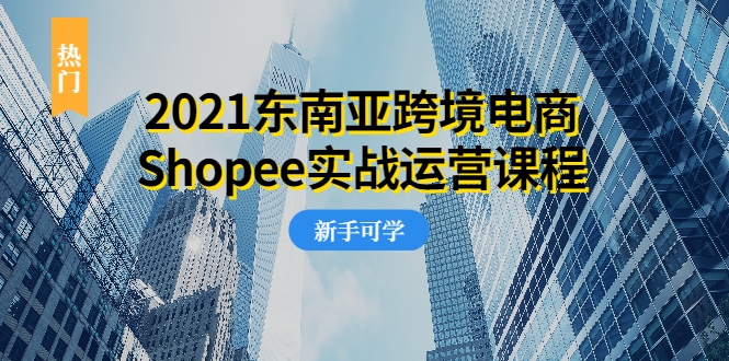 2021东南亚跨境电商Shopee实战运营课程，0基础、0经验、0投资的副业项目-大兵轻创资源库