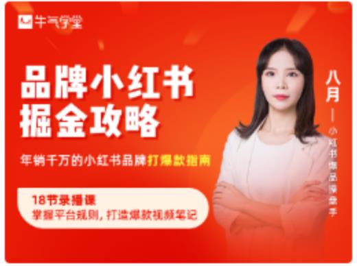 品牌小红书掘金攻略，年销千万的小红书品牌打爆款指南-大兵轻创资源库