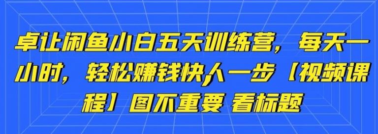 卓让闲鱼小白五天训练营，每天一小时，轻松赚钱快人一步-大兵轻创资源库