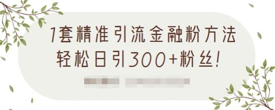 1套精准引流金融粉方法，轻松日引300+粉丝-大兵轻创资源库