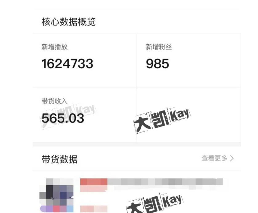 大凯进阶圈新玩法之拼多多视频玩法，利润大概一个号一天能有500~1500的左右!-大兵轻创资源库