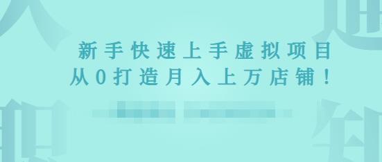 2022年虚拟项目实战指南，新手从0打造月入上万店铺-大兵轻创资源库