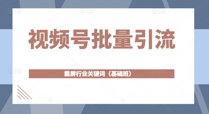 视频号批量引流，霸屏行业关键词（基础班）全面系统讲解视频号玩法-大兵轻创资源库