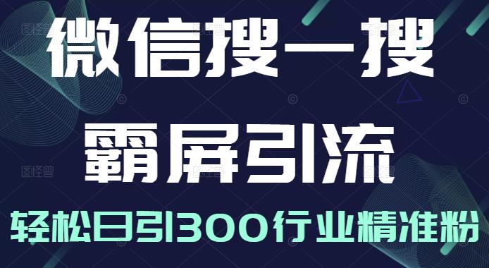 微信搜一搜霸屏引流课，打造被动精准引流系统，轻松日引300行业精准粉-大兵轻创资源库