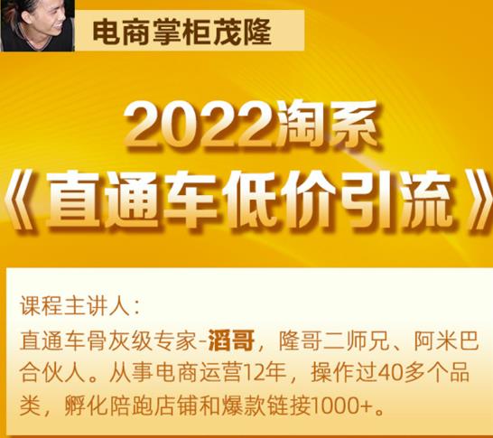 茂隆2022直通车低价引流玩法，教大家如何低投入高回报的直通车玩法-大兵轻创资源库