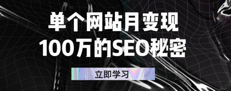 单个网站月变现100万的SEO秘密，百分百做出赚钱站点-大兵轻创资源库