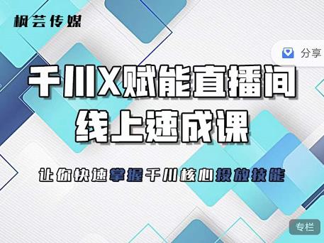 枫芸传媒-线上千川提升课，提升千川认知，提升千川投放效果-大兵轻创资源库