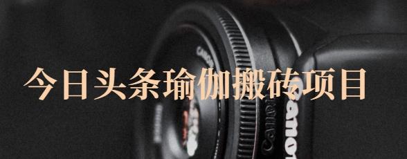 猎人社区·今日头条瑜伽搬砖项目，单号一天几十收入，可以批量操作！-大兵轻创资源库