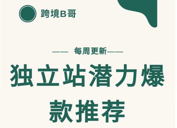 【跨境B哥】独立站潜力爆款选品推荐，测款出单率高达百分之80-大兵轻创资源库