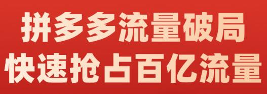 阿杰·拼多多流量破局:如何打黑标，爆款的思路，拼多多流量框架，快速抢占百亿流量-大兵轻创资源库
