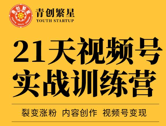 张萌21天视频号实战训练营，裂变涨粉、内容创作、视频号变现 价值298元-大兵轻创资源库