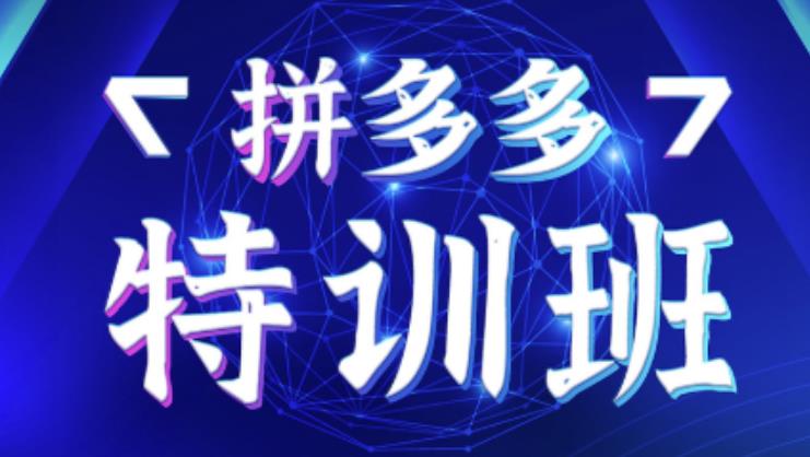 星雪教育·拼多多基础班+进阶班+突破班，用系统的学习模式快速改变现状价值3580元-大兵轻创资源库