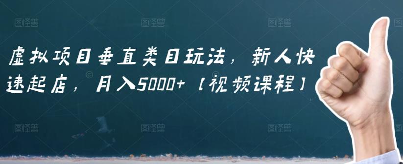 虚拟项目垂直类目玩法，新人快速起店，月入5000+【视频课程】-大兵轻创资源库