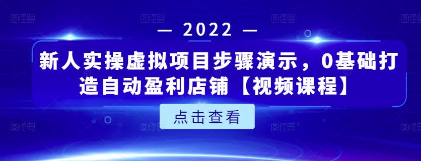 新人实操虚拟项目步骤演示，0基础打造自动盈利店铺【视频课程】-大兵轻创资源库