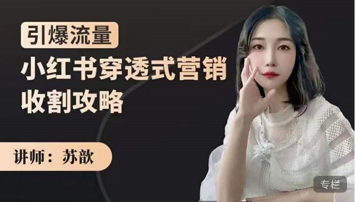 苏歆：小红书穿透式营销收割攻略，引爆流量，助你玩转小红书-大兵轻创资源库