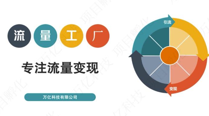 收费3980的流量工厂回粉项目，号称1个粉10元【详细玩法教程解析】-大兵轻创资源库