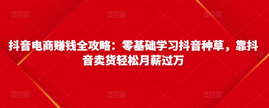 抖音电商赚钱全攻略：零基础学习抖音种草，靠抖音卖货轻松月薪过万-大兵轻创资源库