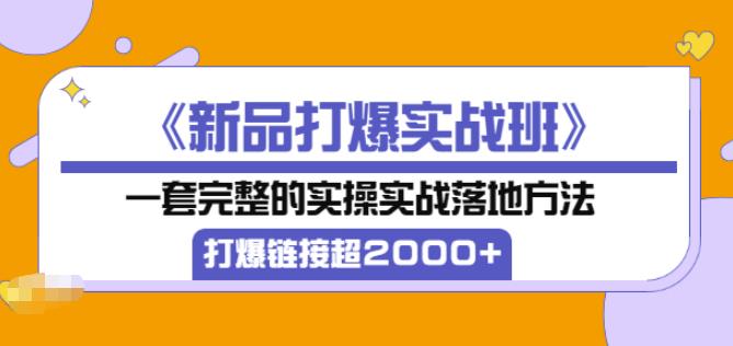 凌童《新品打爆实战班》,一套完整的实操实战落地方法，打爆链接超2000+（28节课)-大兵轻创资源库