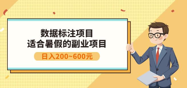 副业赚钱：人工智能数据标注项目，简单易上手，小白也能日入200+-大兵轻创资源库