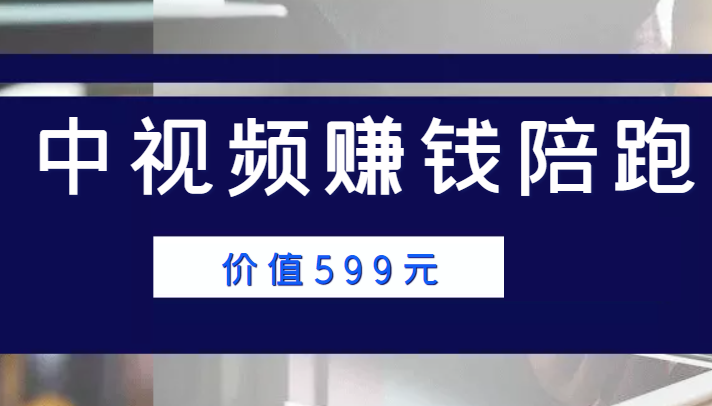 中视频赚钱陪跑，卖中视频账户赚钱收益陪跑项目（价值599元）-大兵轻创资源库