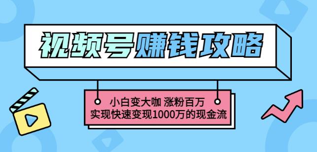 玩转微信视频号赚钱：小白变大咖涨粉百万实现快速变现1000万的现金流-大兵轻创资源库