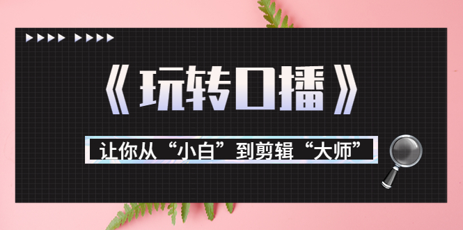 月营业额700万+大佬教您《玩转口播》让你从“小白”到剪辑“大师”-大兵轻创资源库