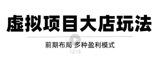 虚拟项目月入几万大店玩法分享，多店操作利润倍增（快速起店盈利）-大兵轻创资源库