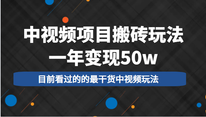 中视频项目搬砖玩法，一年变现50w，目前看过的的最干货中视频玩法-大兵轻创资源库