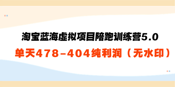 淘宝蓝海虚拟项目陪跑训练营5.0：单天478纯利润-大兵轻创资源库