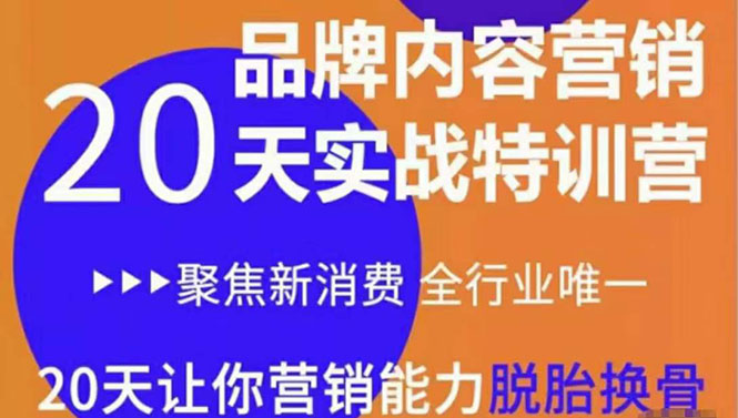 《内容营销实操特训营》20天让你营销能力脱胎换骨（价值3999）-大兵轻创资源库