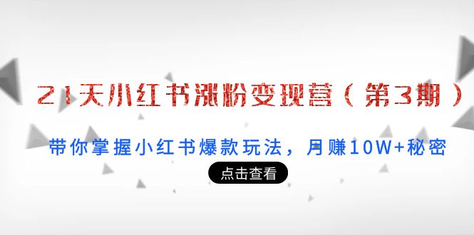 21天小红书涨粉变现营（第3期）：带你掌握小红书爆款玩法，月赚10W+秘密-大兵轻创资源库