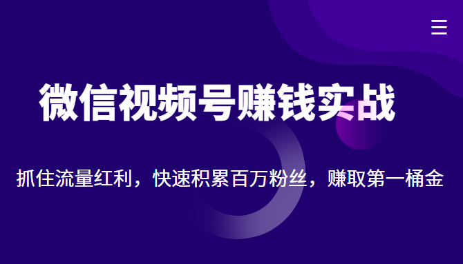 微信视频号赚钱实战：抓住流量红利，快速积累百万粉丝，赚取你的第一桶金-大兵轻创资源库