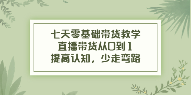 七天零基础带货教学，直播带货从0到1，提高认知，少走弯路-大兵轻创资源库