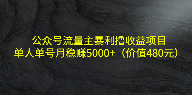 公众号流量主暴利撸收益项目，单人单号月稳赚5000+（价值480元）-大兵轻创资源库