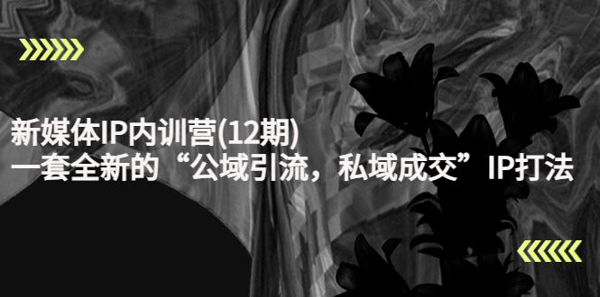 新媒体IP内训营(12期)，一套全新的“公域引流，私域成交”IP打法，直接带走-大兵轻创资源库