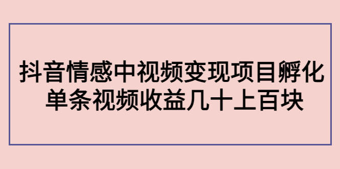副业孵化营第5期：抖音情感中视频变现项目孵化 单条视频收益几十上百-大兵轻创资源库