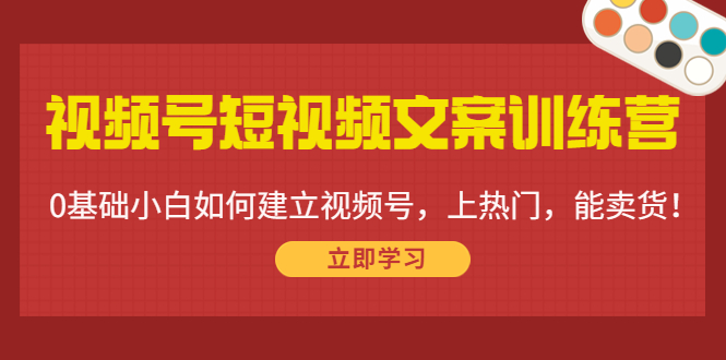 视频号短视频文案训练营：0基础小白如何建立视频号，上热门，能卖货！-大兵轻创资源库