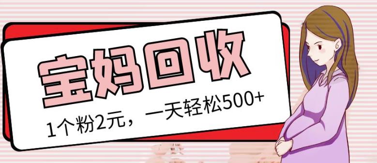 最新小红书母婴号宝妈粉回收项目，1个粉2元，一天轻松500+案例分享【粉丝包回收】-大兵轻创资源库
