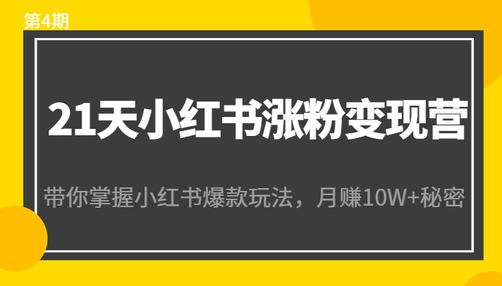 21天小红书涨粉变现营（第4期）：带你掌握小红书爆款玩法，月赚10W+秘密-大兵轻创资源库