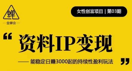 资料IP变现，能稳定日赚3000起的持续性盈利玩法-大兵轻创资源库